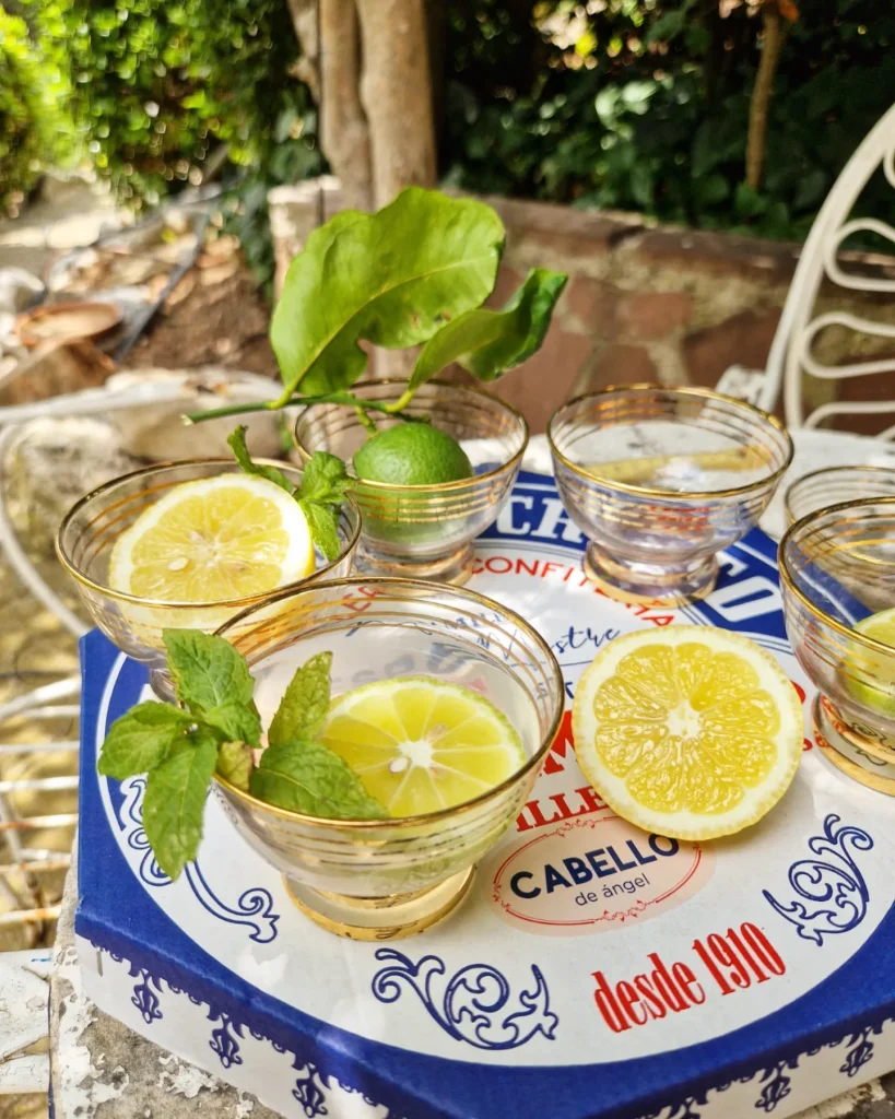 cristal frances cristal rosa frances porcelana francesa porcelaine francais limoges gien luneville sarreguemines piezas vintage unicas brocante frances